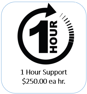 1 hr. support -D365 F&SC/ BC/NetSuite
